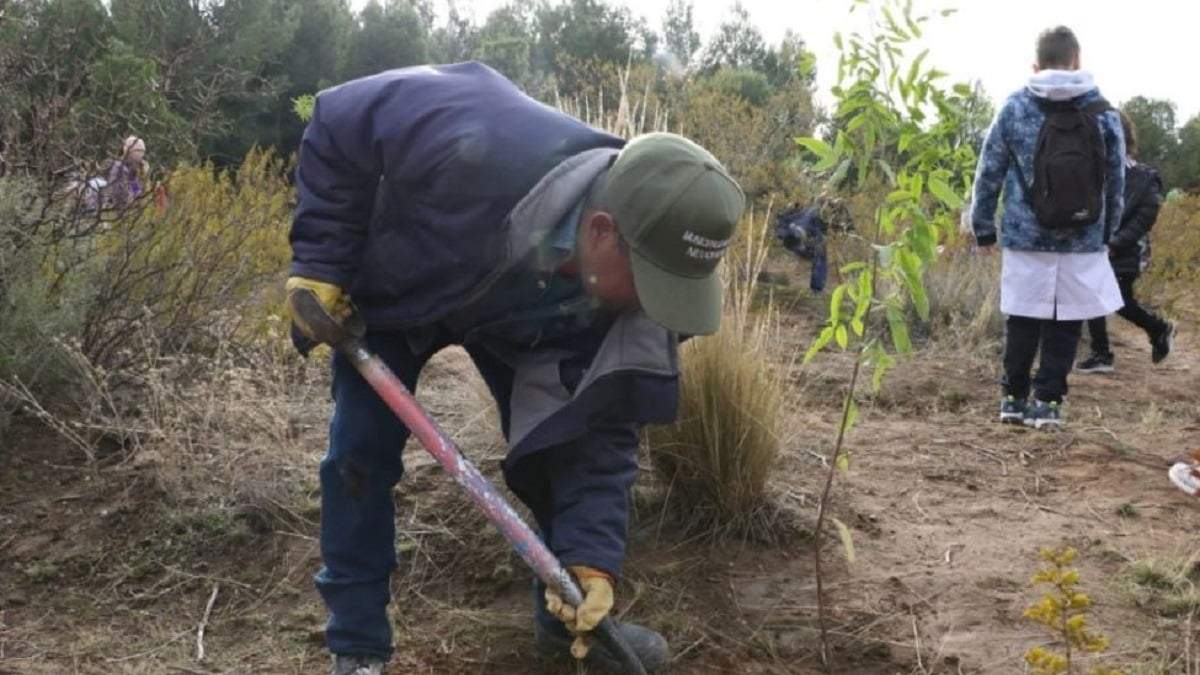 Funcionarios y alumnos de la escuela del barrio Copol plantando árboles en el Parque Norte. Fuente: (Municipalidad de Neuquén)