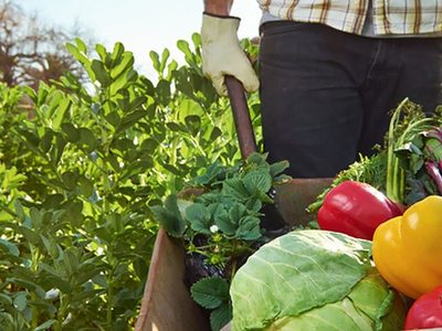 Crean un plan de asistencia para la Agricultura Familiar y Campesina