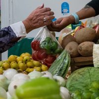 Inflación inicia 2024 con un alza de 4.90% en la primera quincena del año