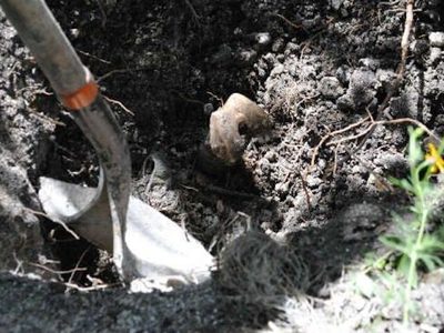 Las 17 víctimas halladas en fosa de Irapuato fueron asesinadas hace dos meses