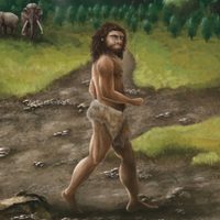 Mandíbula antigua de Taiwán pertenece a un grupo misterioso de ancestros humanos, según científicos