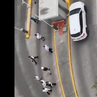 Así fue la pelea “campal” de repartidores de Didi con guardias de seguridad en Miguel Hidalgo