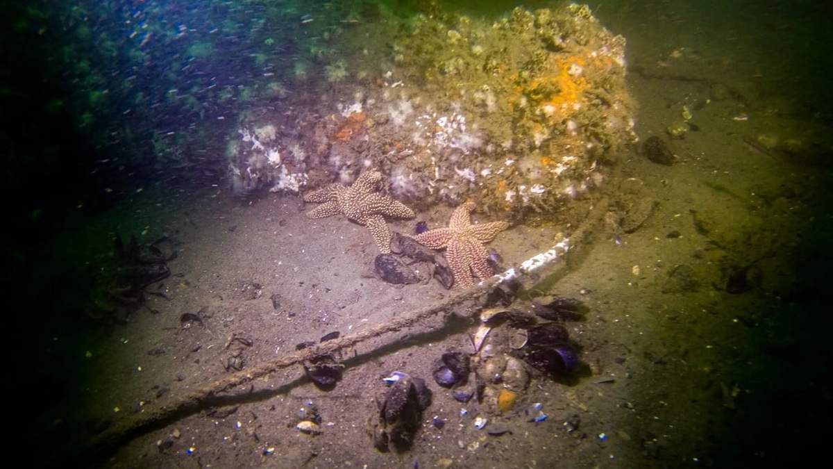 Una fotografía del RI 2394 donde uno de los cuatro cañones del lugar del naufragio se encuentra en el fondo del mar.