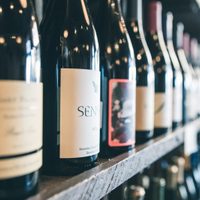 Vinotecas: ante un vacío normativo piden poder continuar