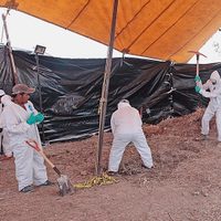Desaparece información sobre las fosas de Tetelcingo y Jojutla