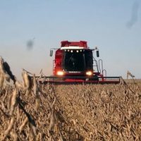 El Gobierno oficializó el aumento a las retenciones a la soja para grandes productores