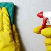 El sencillo truco con 1 elemento que tenés en casa para quitar las manchas de grasa de la pared