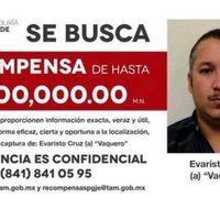 Cae "El Vaquero", uno de los líderes del Cártel del Golfo