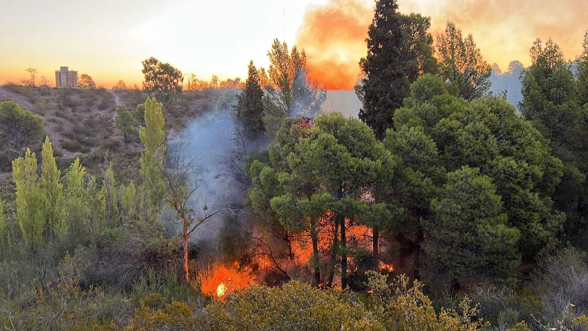 El incendio en Parque Norte. Fuente: (Facebook)