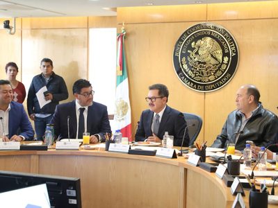 Diputados aceptan que una mujer presida el INE