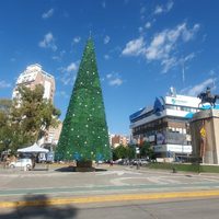 Se instaló el arbolito de Navidad en el centro de la ciudad de Neuquén
