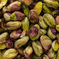 Una más que se va del país: la empresa española que producía frutos finos en Roca deja Argentina