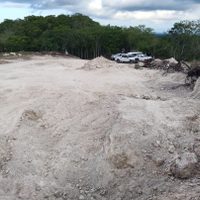 Colectivos de búsqueda de desaparecidos hallan dos osamentas en Veracruz