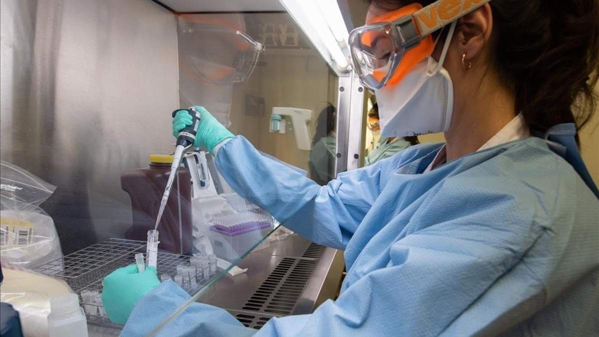 Coronavirus. Fuente: (Twitter)