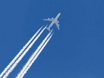 El Gobierno busca utilizar aviones para controlar a la plaga de langostas