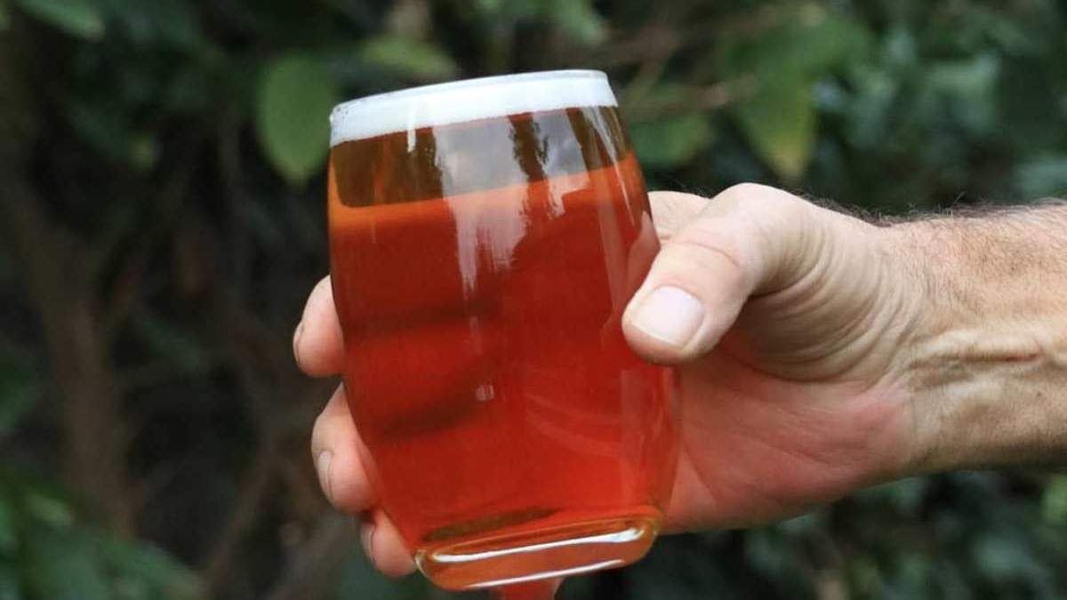Fiesta cervecera neuquina online. Fuente; (Instagram)
