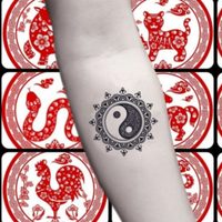 Para modificar: cuál es el defecto que resalta en cada signo del Horóscopo chino