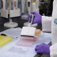 Pfizer y BioNTech reportan efectividad de 95% de su vacuna anticovid