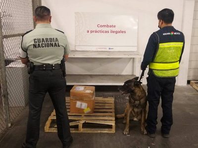 Aseguran 23 kilos de fentanilo en el aeropuerto de Tijuana