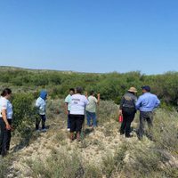 Colectivo localiza restos biológicos calcinados en predio de Saltillo; indagan si son humanos