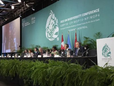 Conferencia ONU logra un acuerdo histórico de biodiversidad