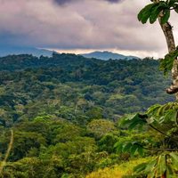 Habitantes de los Chimalapas piden base militar por amenazas de grupo delincuencial