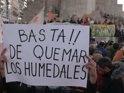 Ley de Humedales: en búsqueda de un tratamiento mayor, se postergó el dictamen