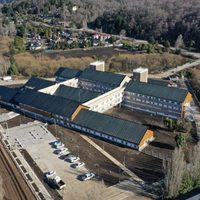 Detectaron un caso de hantavirus en San Martín de los Andes y aislaron a contactos estrechos