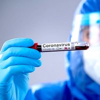 Detectan un segundo caso de coronavirus en Formosa