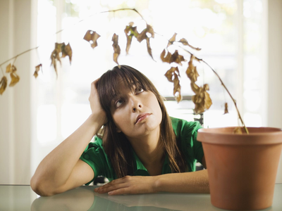 La poderosa razón por la que tenés que evitar tener plantas secas en tu hogar y es mejor sacarlas