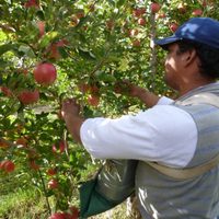 Proyecto de ley busca disminuir el impacto de eventos de fuerza mayor sobre las economías regionales