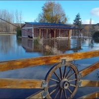 Ante la crecida del río Neuquén, preocupa la situación en Vista Alegre