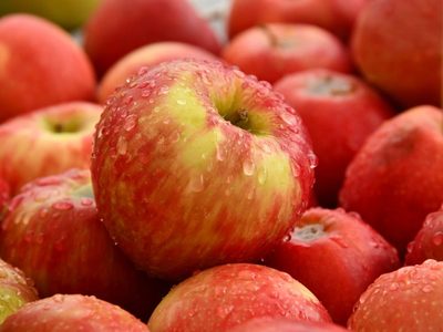 Con pocos ingredientes y aprovechando que las manzanas bajaron de precio: la receta de torta de manzana sin harina ni azúcar