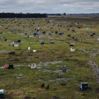 Ordenan el desalojo la toma de tierras más grandes del país