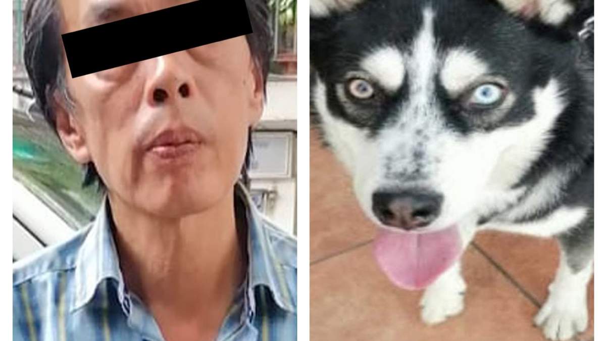 Detenido por maltratar al perro
