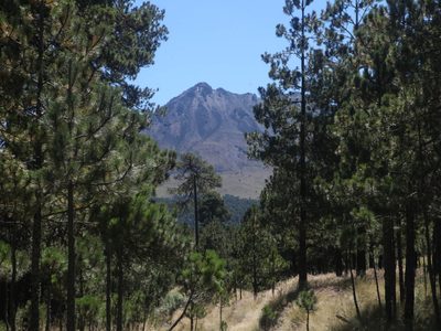 Montañistas alertan por riesgo de que áreas naturales protegidas sean controladas por el crimen