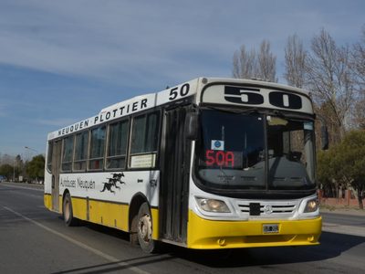 El Consejo Deliberante definió qué pasará con los colectivos en Plottier
