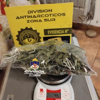Tres allanamientos positivos: secuestraron marihuana, herramientas y hasta inodoros robados
