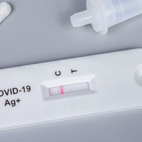 Autotest: cuánto costará y dónde podrá adquirirse