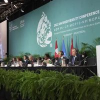 Conferencia ONU logra un acuerdo histórico de biodiversidad