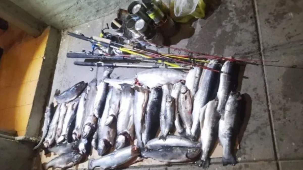 Desde la Dirección de Fauna instan a la comunidad a colaborar denunciando cualquier irregularidad. Fuente: (Neuquén Informa).