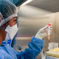Río Negro: 18 nuevos casos de coronavirus y 13 pacientes recuperados