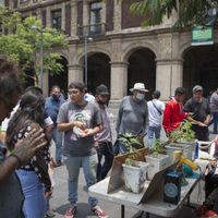 El gobierno respetará decisión de la Corte sobre uso lúdico de la mariguana: AMLO