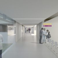 Cuándo comenzará la construcción del hospital Norpatagónico de Neuquén