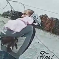 Descubren a mujer pidiendo dinero para su bebé, pero resultó ser un perro