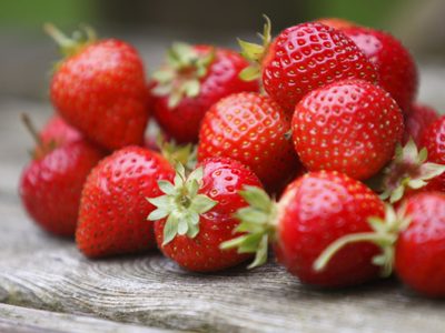 Descubrí cómo cultivar frutillas con altura