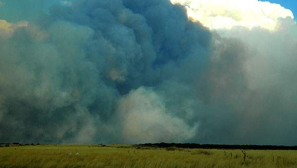 Incendios Forestales. Fuente: (Twitter)