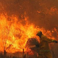 En Córdoba advierten extremo riesgo de incendio en toda la provincia