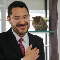 Inauguran el centro "Michigan", diseñado para el rescate y la atención de gatos