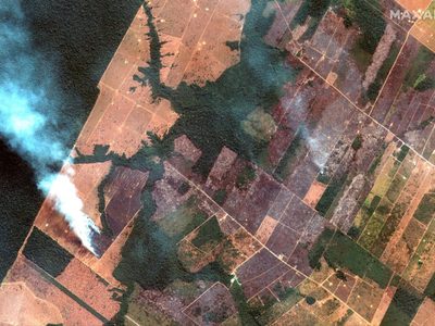 Obispos critican "mentalidad extractivista" ante incendios en el Amazonas
